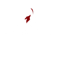 FREELANCER YOUTH