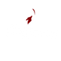 FREELANCER YOUTH